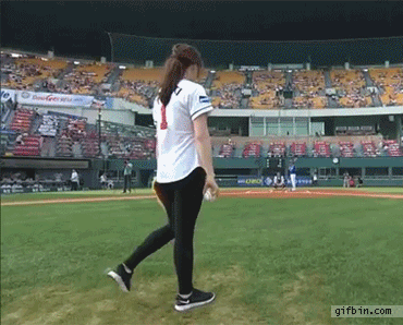13733.gif