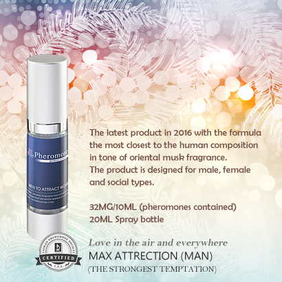 MaxAttraction-m2.jpg
