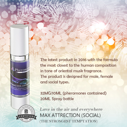 MaxAttraction-s2.jpg