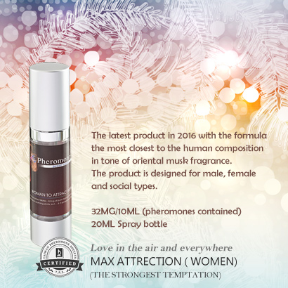 MaxAttraction-w2.jpg
