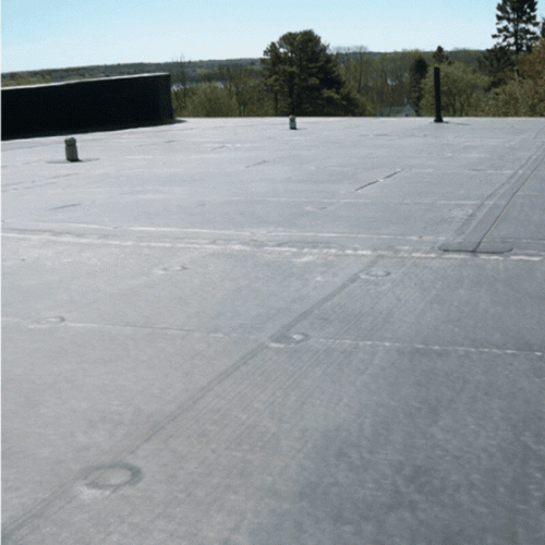 Untitled-design.gif
