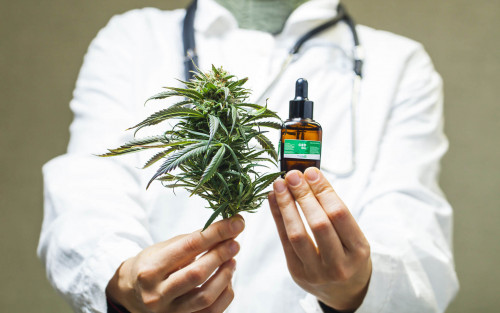 Securekush-1.jpg