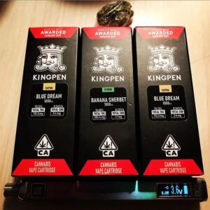 Securekush-4.jpg