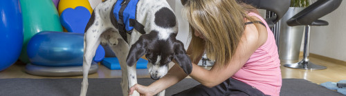 Rehab-Denver-Littleton-CO.jpg