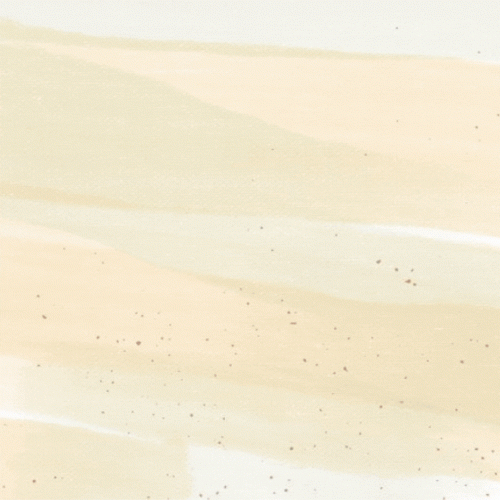 Local-Used-Cars-Dealerships.gif