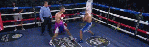 fernandez.gif