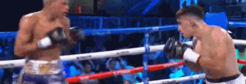 alann.gif