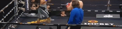 igor.gif