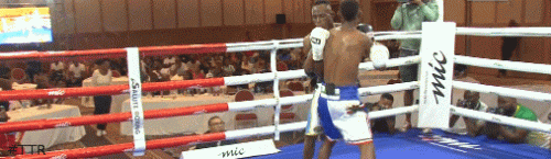 josef.gif