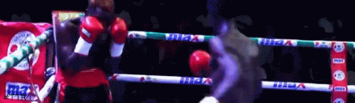 korley.gif