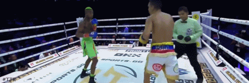 manza1.gif