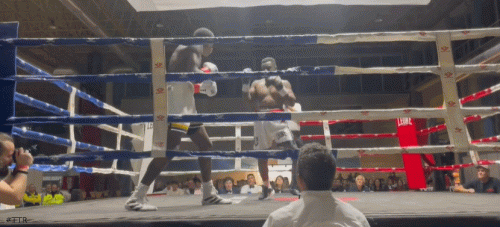 nanga.gif