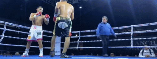 ariel.gif
