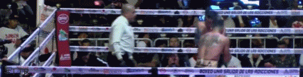 avuila.gif