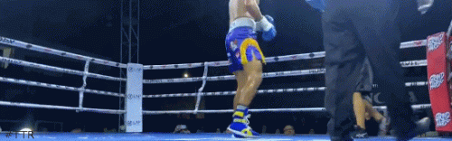 pedro.gif