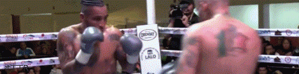 vidales.gif