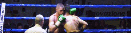 edmir.gif