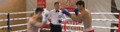 kanat.gif