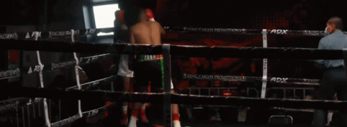 mondra.gif