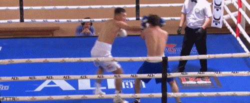 nurbpol.gif