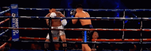 oliva.gif