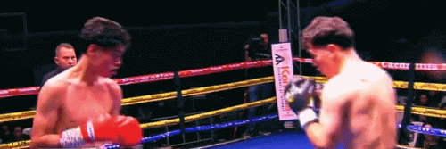 pabel.gif