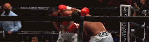 santo.gif