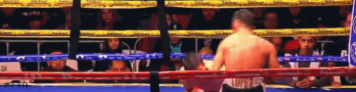 tigre.gif