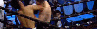 petr.gif