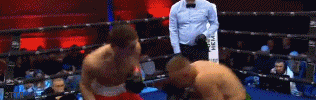 tuk.gif