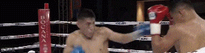 hafit.gif