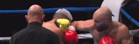 papot.gif