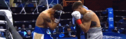 vasily.gif