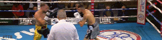 vincenzo.gif