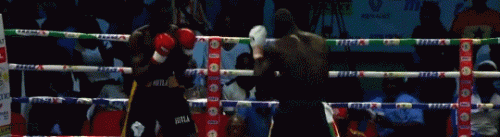 cwww.gif