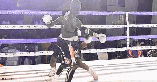 franktko.gif