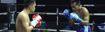suriya.gif