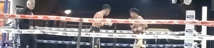chino.gif