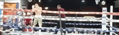 daniell.gif