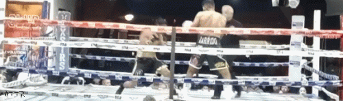 garrido.gif