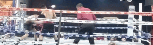 orea.gif