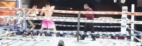 pelayo.gif