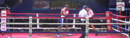 rodri1.gif