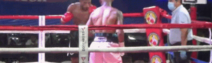 ventura1.gif