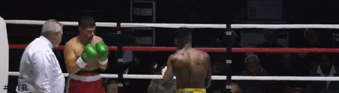 diallo.gif