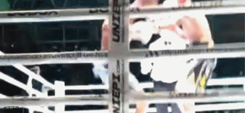 esencia.gif
