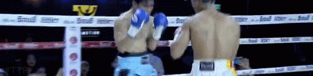 phooba.gif