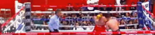 saulrobles.gif