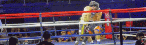 VITORHLS.gif