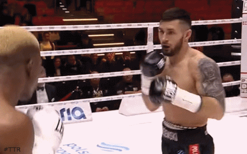 aleksanderko.gif